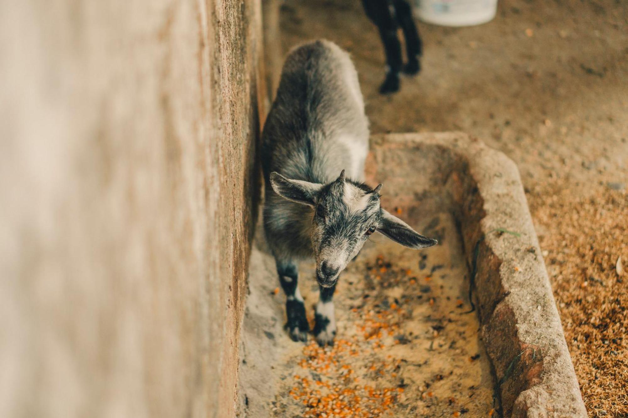 Hotel Fazenda Ramon Sao Lourenco  Zewnętrze zdjęcie